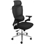 Spacetronik 4D BARD swivel office chair with armrest