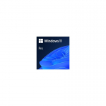 Microsoft Windows 11 Pro 1 litsents(i)