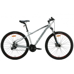 Leon 29" TN-90 DD raam-18" Hall-Roosa 2024