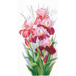 Beldizart Iris Triumph SANT-14