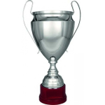 Detail Detail Silver metal TS cup