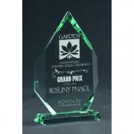 Tryumf Engraved glass trophy with case