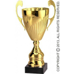 Tryumf Golden metal cup TS 7098B