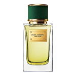 Dolce&Gabbana Dolce&Gabbana D y g Velvet Vetiver EDP, 100 ml