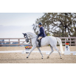 Horse Horse Polly Gray