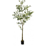 Lumarko Mondex Alates 1986 R ALYVUGĖS Kunstlill h: 180 cm