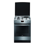 Gas Gas cooker Hansa, 60cm, inox