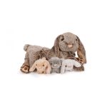 Day Day Triu&scaron;iuteema koos 3 triu&scaron;iukiga Cozy Noxxiez FP503
