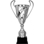 Detail Detail Silver metal cup