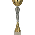 Detail Detail Gold-silver metal cup TUMA S