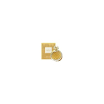 Elizabeth Elizabeth Arden Untold Absolu EDP