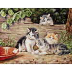 luca luca S Cats SB556
