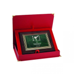 Tryumf Plastic diploma with engraving on a gold plate + CASE