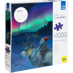 Daniel Daniel Falck Northern Lights puzzle, 1000 pieces