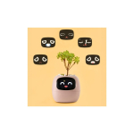 PlantsIO IVY R&oacute;żowa