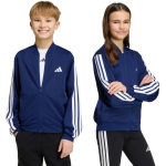 adidas Essentials Climacool laste kangas tumepunane KR2146 (152 cm)