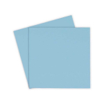 Thermal Thermal Grizzly Minus Pad Pro - 100 x 100 x 1.5 mm