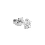Daniel Daniel Wellington Steel Single Earring Star with Crystals DW00400874