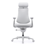LiberNovo Omni Pro ergonoomiline kontoritool, 48 cm, valge
