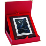 Victoria Victoria Sport plastic diploma with metal engraved sheet + etui