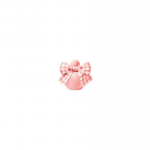 Nina Nina Ricci Nina Rose Garden 50 ml Naised