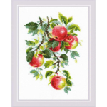 Uab Uab Riolis Juicy apples SR1938