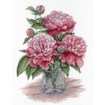 Beldizart King's favorite SNV-543