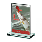 Tryumf LuxorJet color printing glass trophy