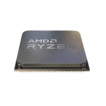 AMD Ryzen 5 5500 protsessor 3,6 GHz 16 MB L3 Pesa