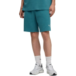 Puma ESS Elevated Relaxed meeste l&uuml;hikesed p&uuml;ksid roheline 692021 41 M