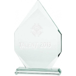 Tryumf 3D engraved glass trophy with case