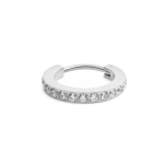 Daniel Daniel Wellington Single Sparkling Earring with Crystals DW00400881