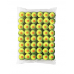 Wilson Starter Orange -tennispallid, 48 tk