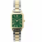 Naisten Naisten kello TIMEX TREND TW2Y72000