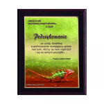 Tryumf Plastic diploma with colored touch laminate