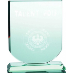 Tryumf 3D engraved glass trophy with case