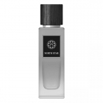 Men's Men's perfume EDP The Woods Collection 100 ml Natural North Star
