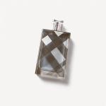 Burberry Brit 100 ml Mehed