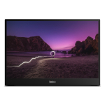 Lenovo ThinkVision M16 monitor