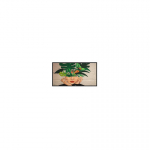 Philips 43BDL4511D/00 infoekraan Digitaalne A-board 109,2 cm (43") 500 cd/m&sup2; 4K Ultra HD Must 24/7
