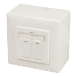 LogiLink NP0124 pistikupesa 2 x RJ-45 Metallik, Valge