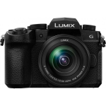 Panasonic Lumix G95D (90/91/99) + Panasonic LUMIX G Vario 12-60mm f/3.5-5.6 Asph. Power OIS (H-FS12060) (Black)