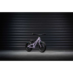 EARLY EARLY RIDER Charger 12" children's bike, purple