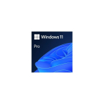 Microsoft Windows Pro 11 64-bit Slovakkia USB