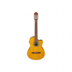Ibanez GA3ECE-OAM kitara mikrofoniga
