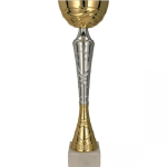 Detail Detail Gold-silver metal cup TUMA S