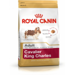 Royal Royal Canin Cavalier King Charles Adult 1,5 kg T&auml;iskasvanu