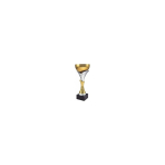 Victoria Victoria Sport Victoria Sport Metal silver cup