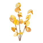Eurofirany KW/FLORE/710/POM POMA+GELTONA