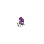 Eurofirany SW/KW/96 29X15CM PUNANE